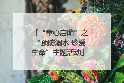 “童心启萌”之“预防溺水 珍爱生命”主题活动